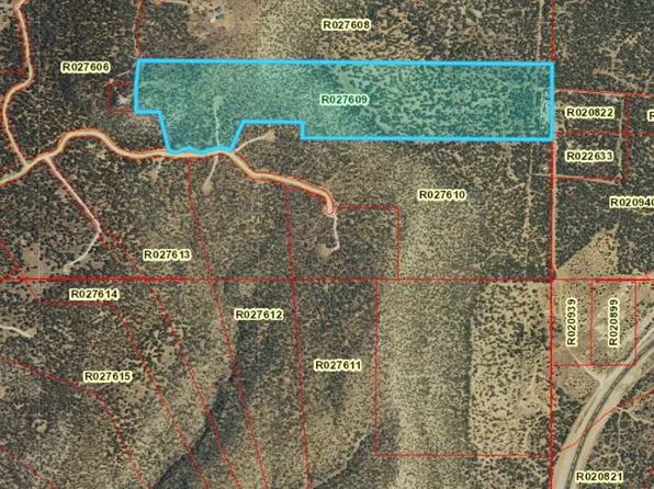 8 Ayback Trl, Corona, NM 88318