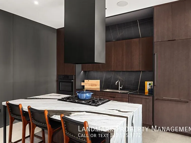 234 W Polk St #2508 — Photo 37
