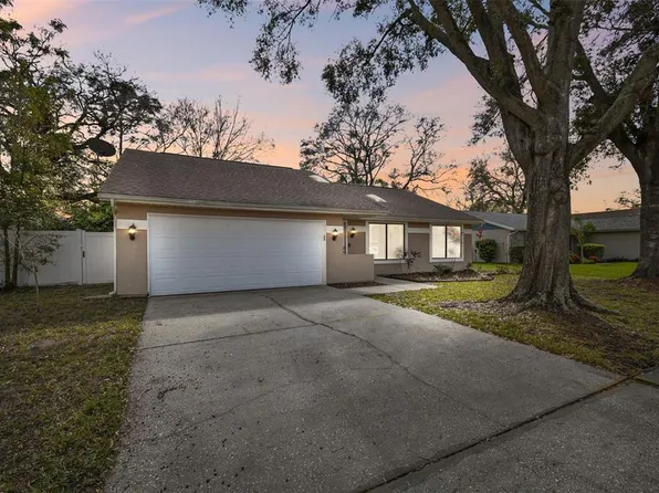 5822 SILVER MOON AVENUE, TAMPA, FL 33625