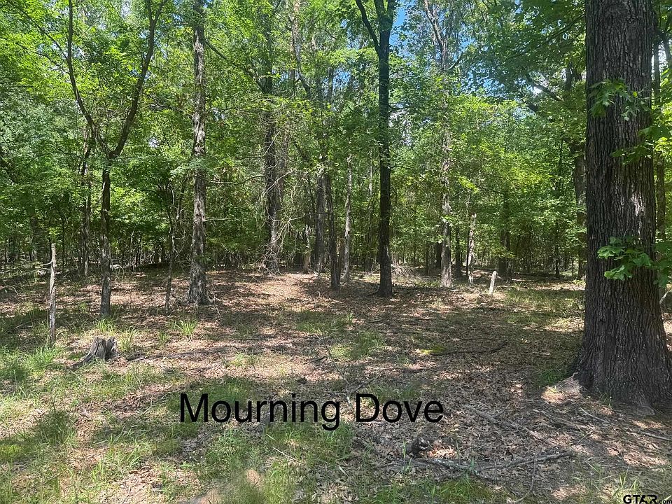 1st image of 14 Mourning Dove Ln