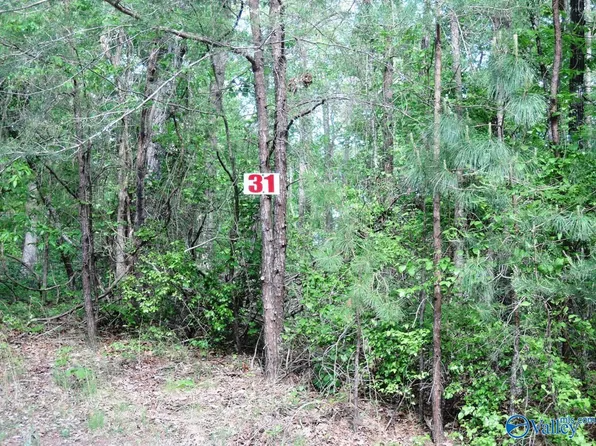 31 Harbor Loop, Jasper, AL 35504