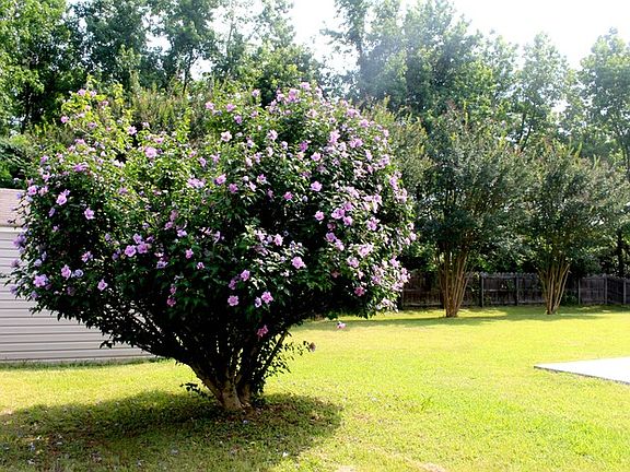 2nd image of 5440 Lilac Cres