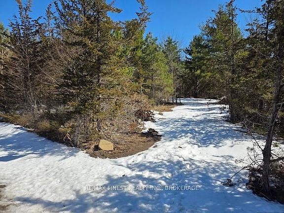 2nd image of 590 Love Rd