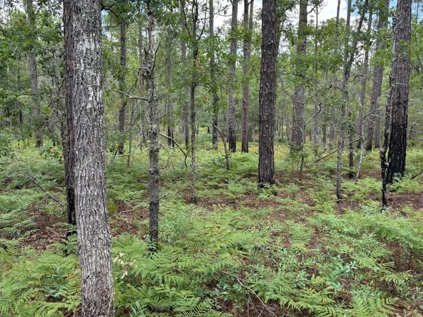 0 Mount Beulah Rd, Windsor, SC 29856