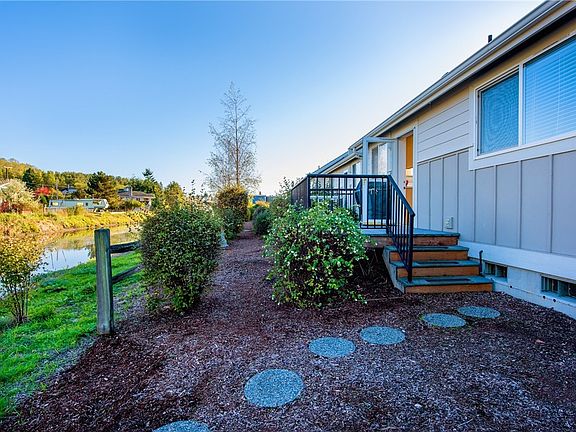 back deck beside Terrell Creek