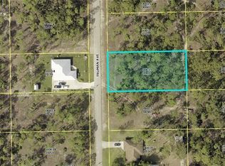 2208 Truman Ave, Alva, FL 33920