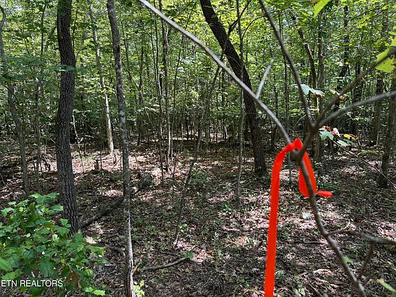5th image of W Laurel Way Lot 18
