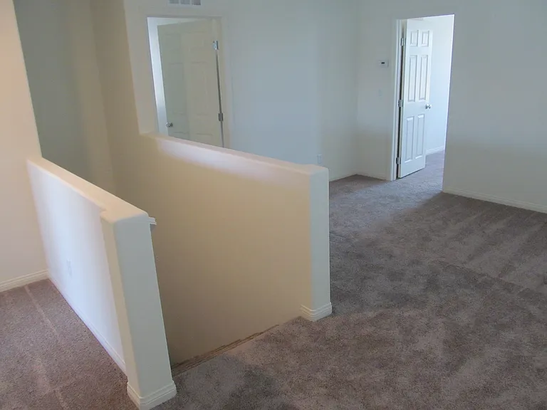 7026 Dandelion Park Ave — Photo 17