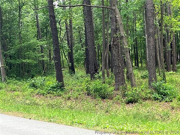 3rd image of 0 Bryants Cir