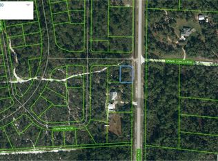 3111 Grand Concourse, Lake Placid, FL 33852
