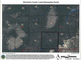 Mueller Rd, Wausaukee, WI 54177