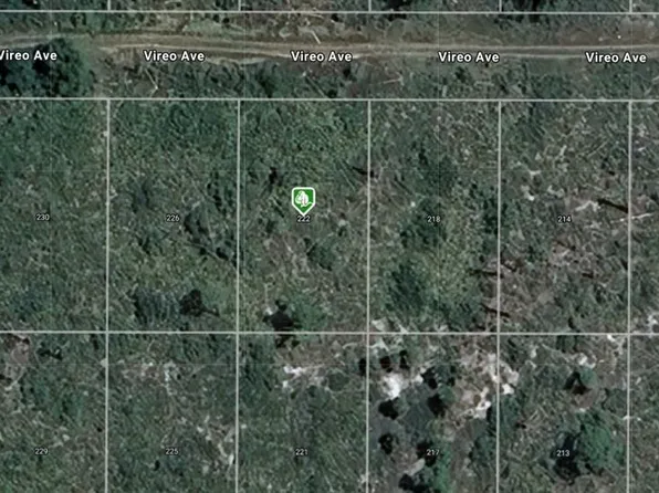 222 Vireo Ave #13, Sebring, FL 33870