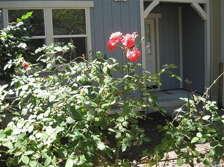 2nd image of 320 Taylor View Dr
