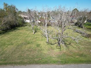 409 Carlton St, Brazoria, TX 77422