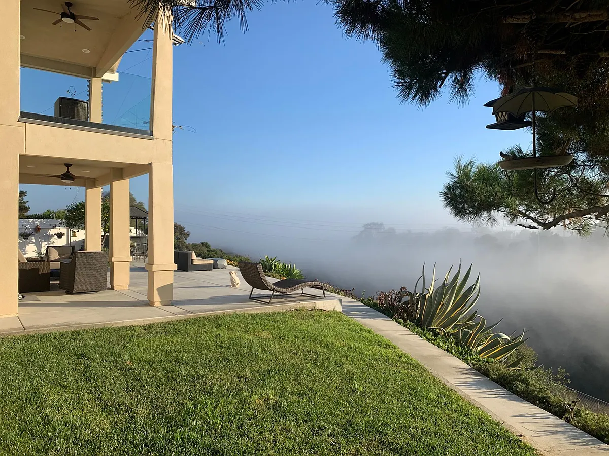 Backyard in the morning - 4967 Sunline Ave