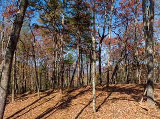 41 Preserve Trl, Ellijay, GA 30536