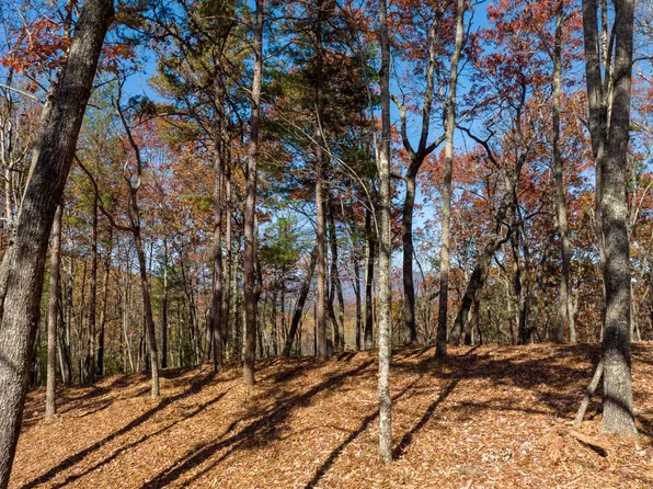 41 Preserve Trl, Ellijay, GA 30536