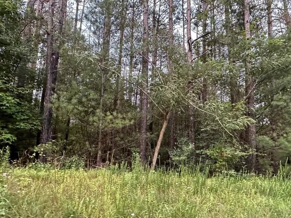 5.73 Stansbury Mountain Rd, Copperhill, TN 37317