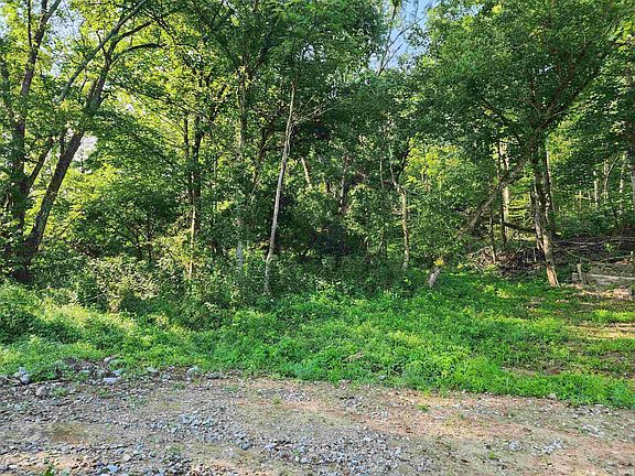 2nd image of TRACT 2 State Road 54 W