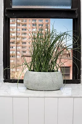 Rented by Compass | media 43