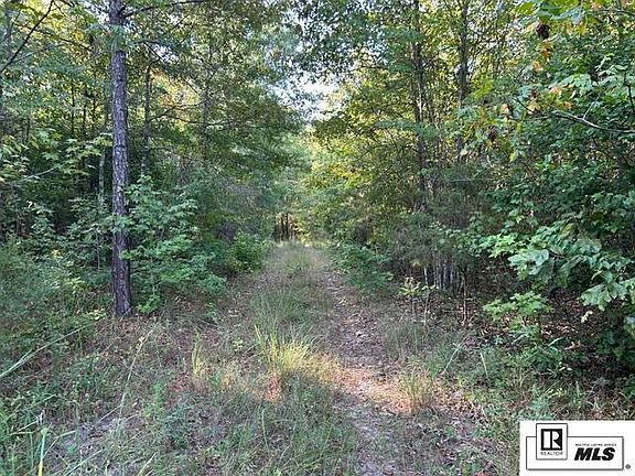 2nd image of 0 Tiger Bend Rd