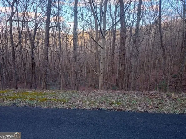 LOT 163 Trailwood Dr #163, Ellijay, GA 30536