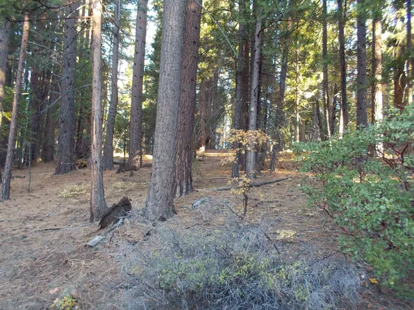 2300 Shooting Star Ln, Quincy, CA 95971