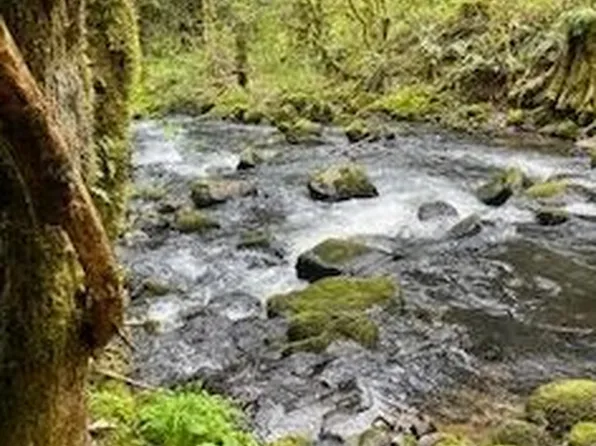 Twin Creek Ln, Scappoose, OR 97056