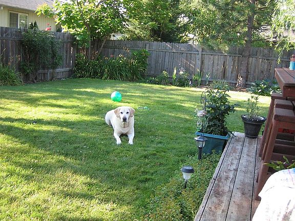 Back Yard/ Spa