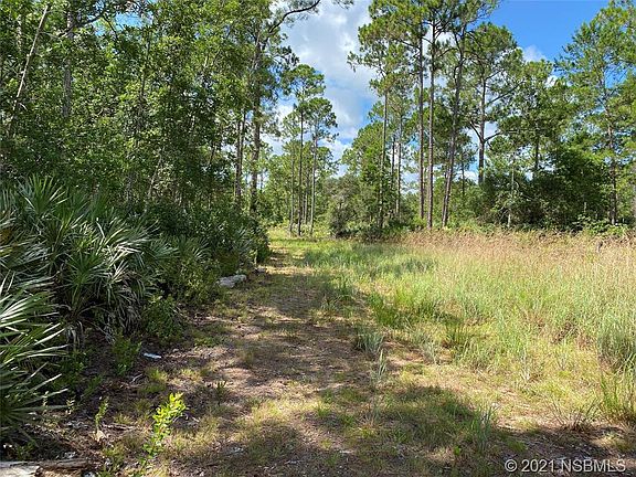 4th image of 4007 Swamp Deer Rd