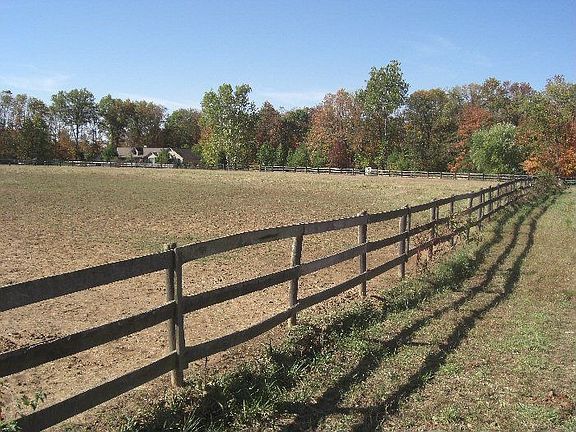 Another Pasture