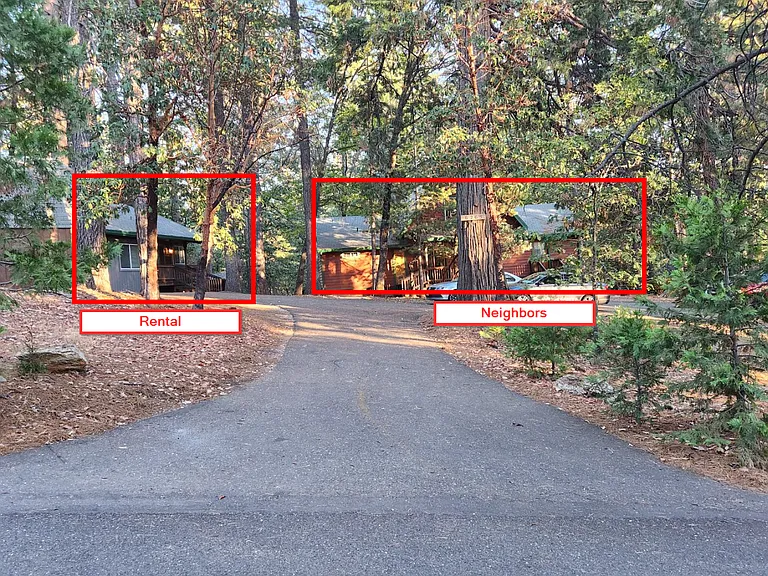 6263 Pine Needle Ln — Photo 19