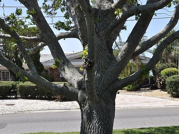 5th image of 1500 Sea Gull Dr S
