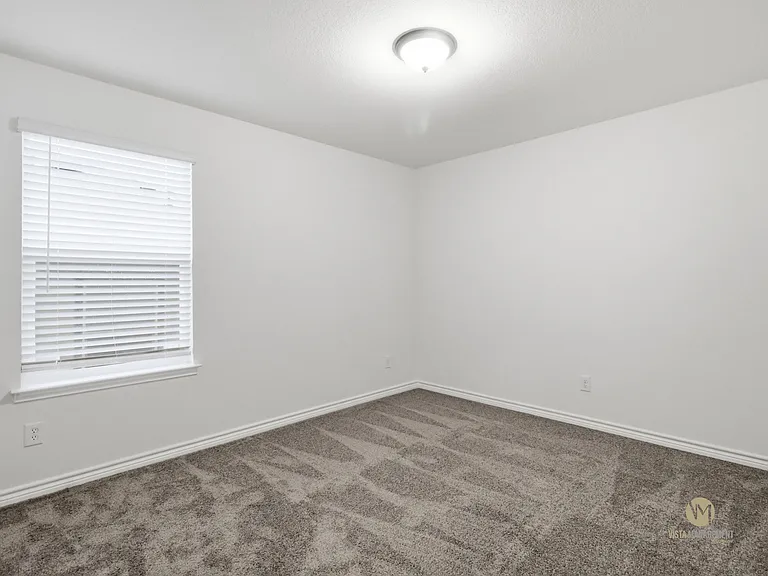 11414 Amberina — Photo 5