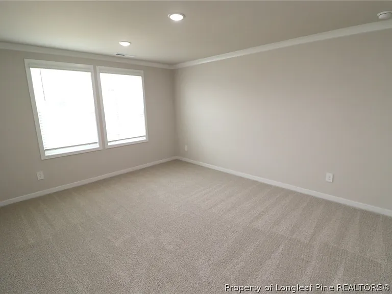 4129 Hazel Branch Way — Photo 24