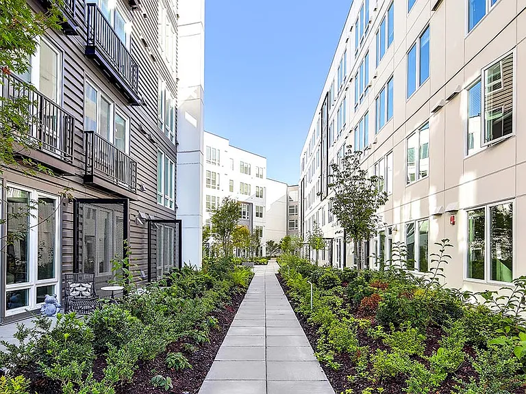 Griffis Shoreline courtyard with lush landscaping.
