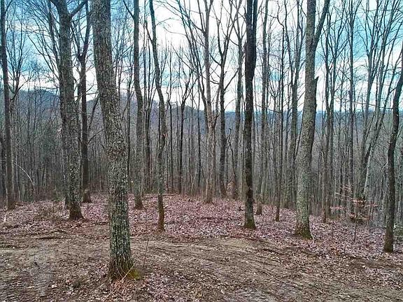 5th image of 3004 Ponderosa Rd Lot 0