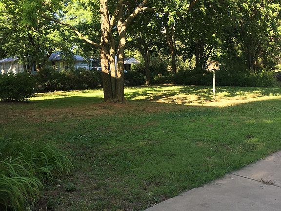 back yard