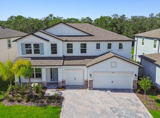 5016 Bromeliad Ave, Wimauma, FL 33598