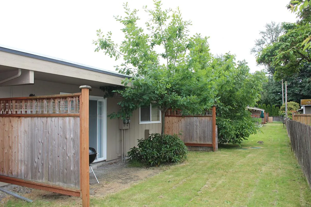 Back yard