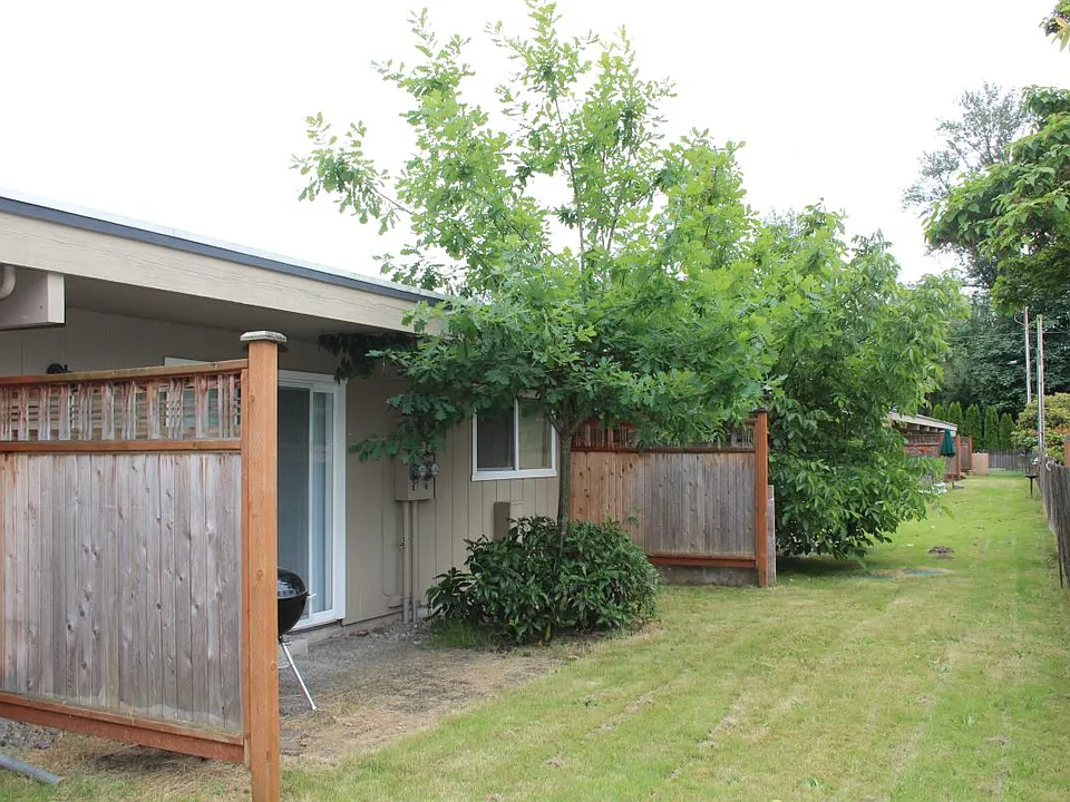 Back yard
