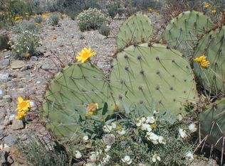 17463 E Marsh Station Rd, Vail, AZ 85641