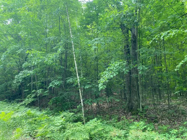 Bern Dr, Reed City, MI 49677