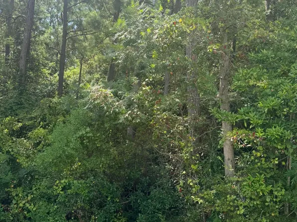 High Ridge Dr Lot 92, Ocean Springs, MS 39564