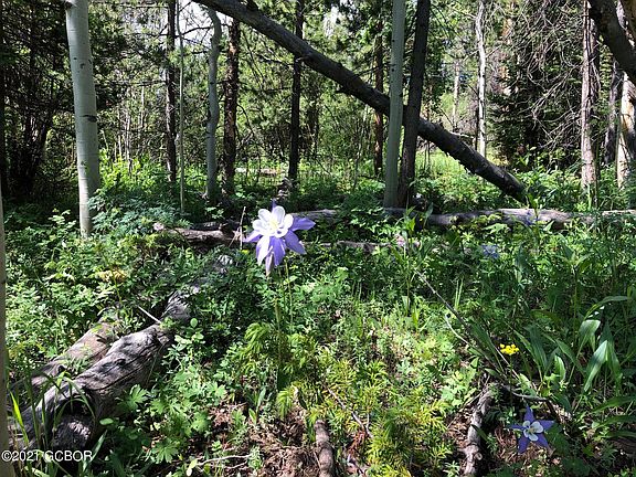 3rd image of 2445 County Road 164