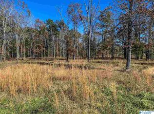 00 County Road 131, Cedar Bluff, AL 35959
