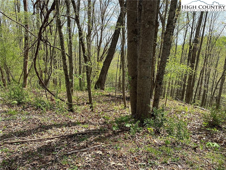 TBD Happyland Road UNIT 38, Piney Creek, NC 28663 MLS 242991 Zillow