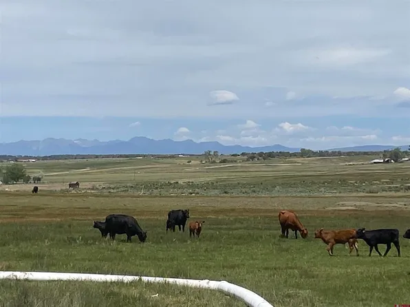 346 County Road 321, Ignacio, CO 81137