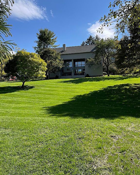 Back Yard View