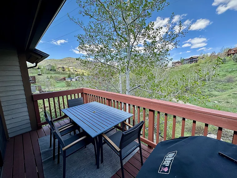 831 Mill Run Ct — Photo 15